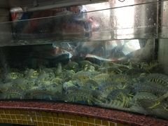 -马王堆海鲜水产市场