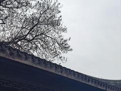 -五峰园