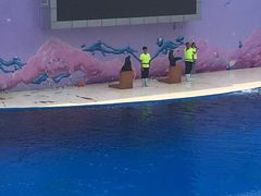 -北戴河圣蓝海洋公园