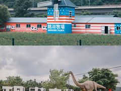 -大连铭湖国际观光牧场