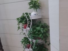 -红菜坊·烤鸭·川鲁宴(石园店)