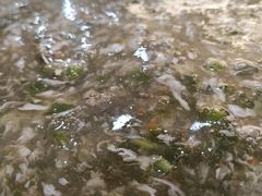 -乐在集市海鲜大排档(平潭店)
