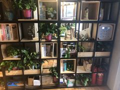 -ZING COFFEE 镜咖啡