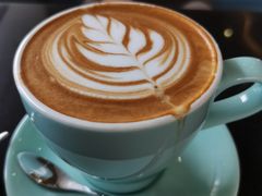 -OLD TREE老树咖啡·西餐厅(台山人工湖店)