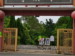 -三水森林公园