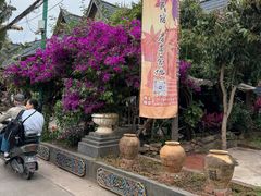 -西双版纳傣族园