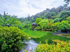 -云溪植物园