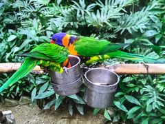 -南宫五洲植物乐园