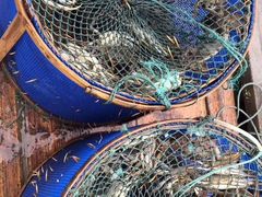 -丫丫蟹庄·苏式园林农家乐·阳澄湖大闸蟹(阳澄湖莲花岛店)