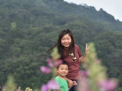 -广州市石门国家森林公园
