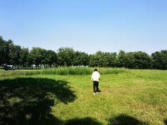 -汉长安城未央宫国家考古遗址公园