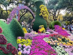 -杭州植物园