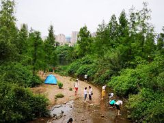 -重庆彩云湖湿地公园