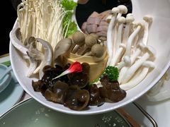 -洪氏嗨捞·猪肚鸡火锅(阳光天地店)