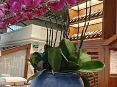 -金河半岛园林酒家(金融城店)