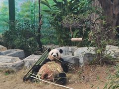 -灵玲国际马戏城