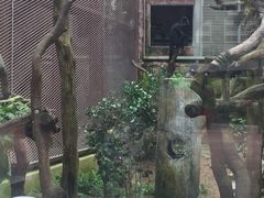 -石排湾郊野公园