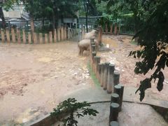 -昆明动物园
