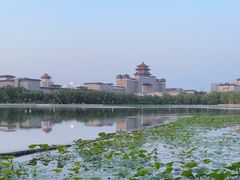 -莲花池公园