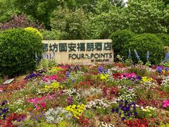 -廊坊固安福朋喜来登酒店