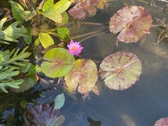 -广州神农草堂中医药博物馆