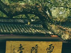 -灵隐飞来峰景区