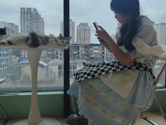 -怪兽屋·羊驼·猫咖·狗咖(俊华广场店)