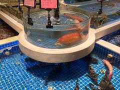 -渔人码头(中南店)