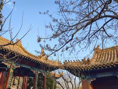 -戏马台景区