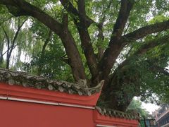 -马旺子酒楼