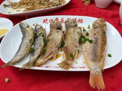 -蛇口康乐快餐鱼仔档(翠苑小区店)