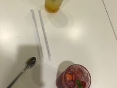 -吉丁鸟咖·异宠·寄养