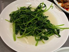 -峨嵋酒家(熙悦天街店)
