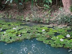 -中国科学院西双版纳热带植物园