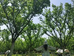 -秀丽东方