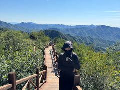 -大岭沟猕猴桃谷风景区