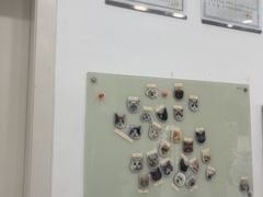 -四月宠物医院·猫专科·心脏专科·内科(转塘店)