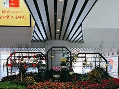 -广州白云国际机场-T2航站楼