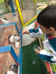 -萌宠亲子动物乐园(槐房万达店)