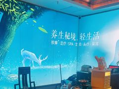 -道合堂·中式按摩·spa(民治店)
