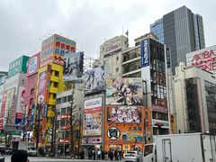 -秋叶原电器街