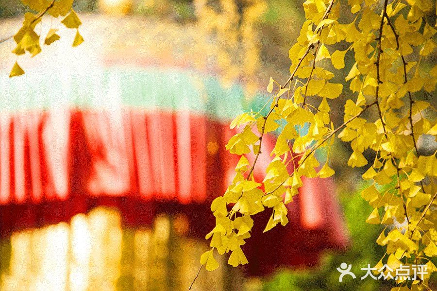 成为古楼观的中心。以后历代虽时有修葺