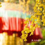 成为古楼观的中心。以后历代虽时有修葺