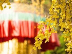 -终南山国家森林公园