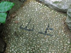 -叶家花园