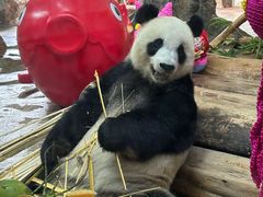 -海南热带野生动植物园