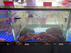 水产区-金海湾海鲜排档(朱家尖店)