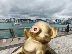 -星光大道