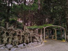 -叶家花园