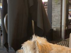-Shanghai Brew House上海啤酒工坊(老外街店)